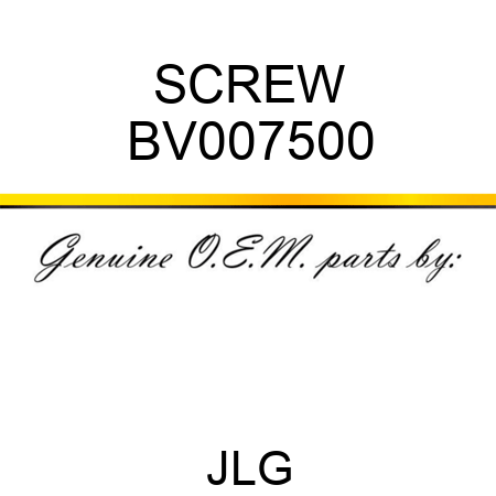 SCREW BV007500