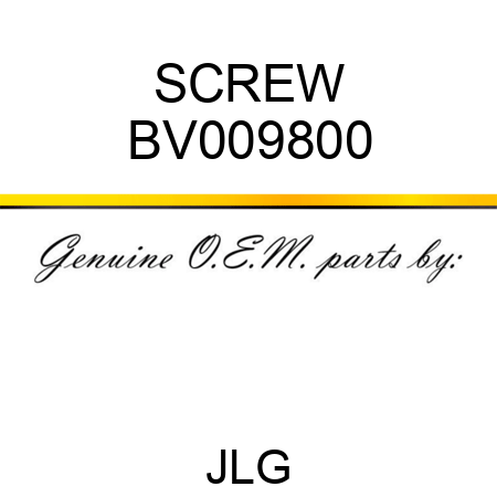 SCREW BV009800