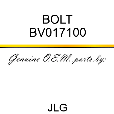 BOLT BV017100