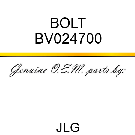 BOLT BV024700