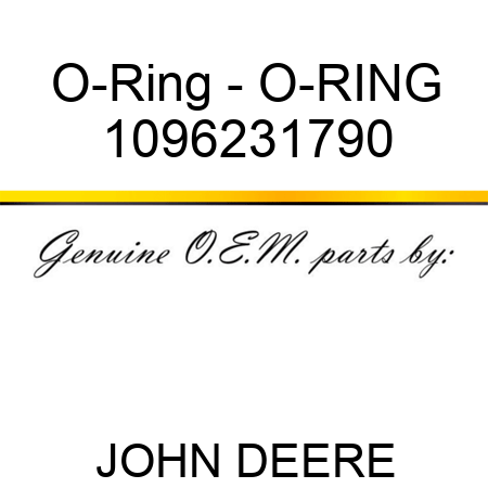 O-Ring - O-RING 1096231790