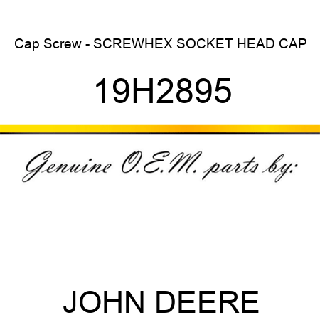 Cap Screw - SCREW,HEX SOCKET HEAD CAP 19H2895
