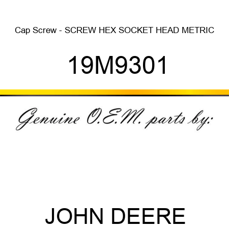 Cap Screw - SCREW, HEX SOCKET HEAD, METRIC 19M9301