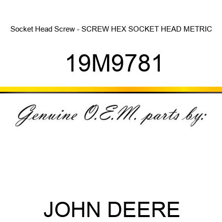 Socket Head Screw - SCREW, HEX SOCKET HEAD, METRIC 19M9781