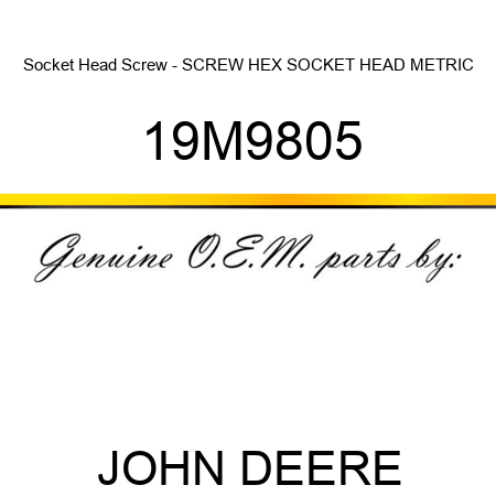 Socket Head Screw - SCREW, HEX SOCKET HEAD, METRIC 19M9805