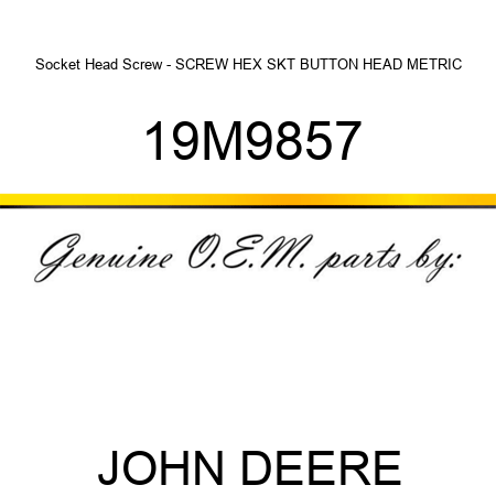 Socket Head Screw - SCREW, HEX SKT BUTTON HEAD, METRIC 19M9857