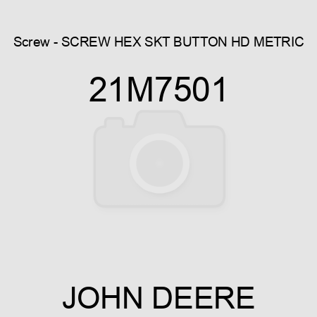 Screw - SCREW, HEX SKT BUTTON HD, METRIC 21M7501