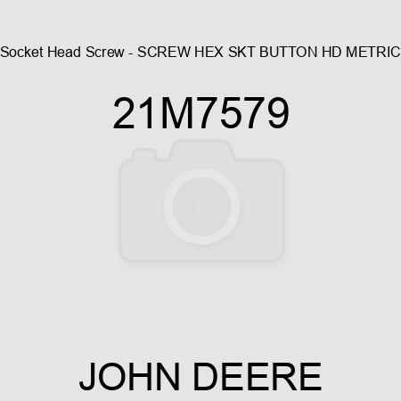 Socket Head Screw - SCREW, HEX SKT BUTTON HD, METRIC 21M7579