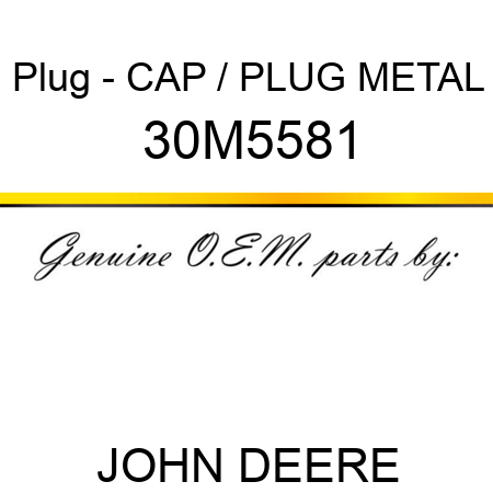 Plug - CAP / PLUG, METAL 30M5581