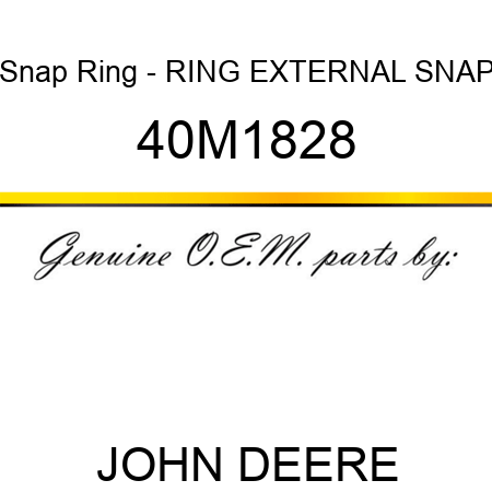 Snap Ring - RING, EXTERNAL SNAP 40M1828