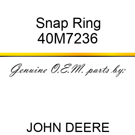 Snap Ring 40M7236