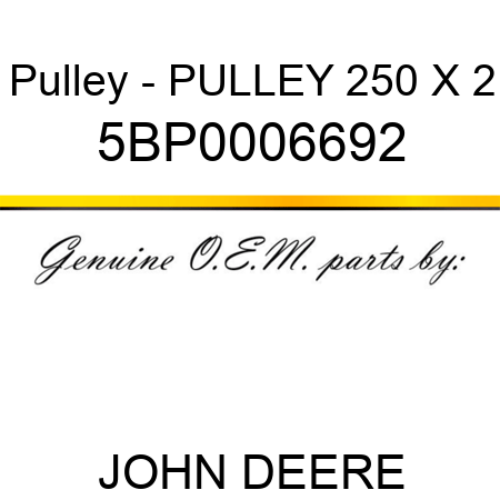 Pulley - PULLEY 250 X 2 5BP0006692