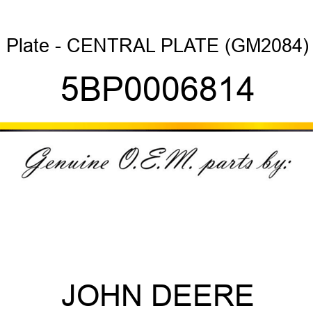 Plate - CENTRAL PLATE (GM2084) 5BP0006814