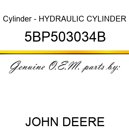 Cylinder - HYDRAULIC CYLINDER 5BP503034B