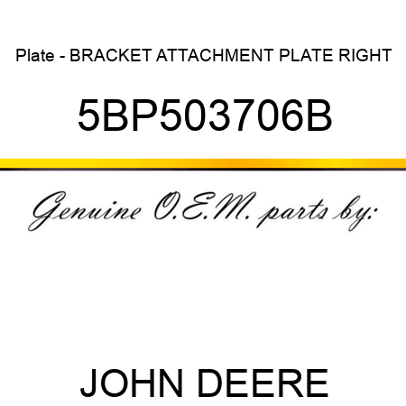 Plate - BRACKET ATTACHMENT PLATE RIGHT 5BP503706B