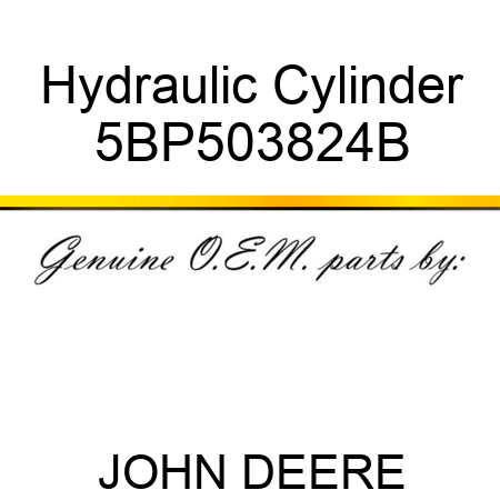 Hydraulic Cylinder 5BP503824B