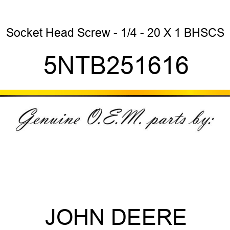 Socket Head Screw - 1/4 - 20 X 1 BHSCS 5NTB251616