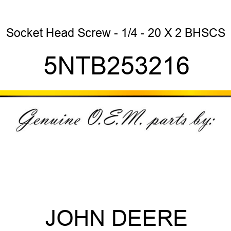 Socket Head Screw - 1/4 - 20 X 2 BHSCS 5NTB253216