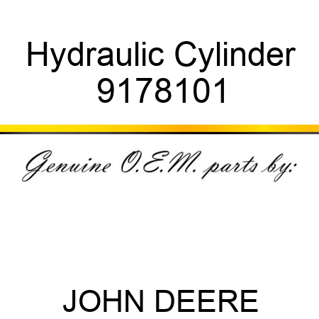 Hydraulic Cylinder 9178101