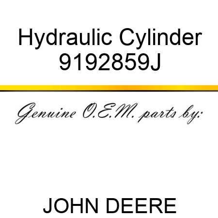 Hydraulic Cylinder 9192859J