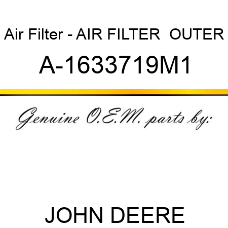 Air Filter - AIR FILTER  OUTER A-1633719M1