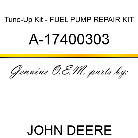 Tune-Up Kit - FUEL PUMP REPAIR KIT A-17400303