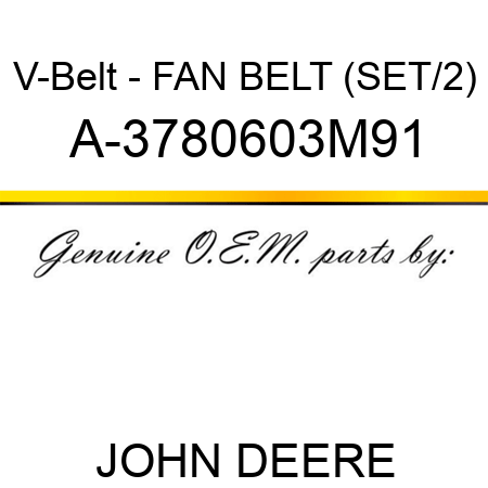 V-Belt - FAN BELT (SET/2) A-3780603M91