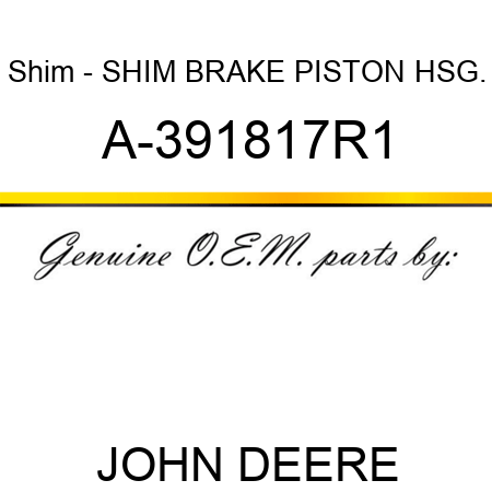 Shim - SHIM, BRAKE PISTON HSG. A-391817R1
