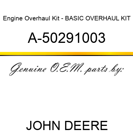 Engine Overhaul Kit - BASIC OVERHAUL KIT A-50291003