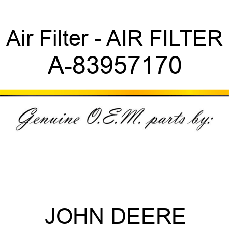 Air Filter - AIR FILTER A-83957170