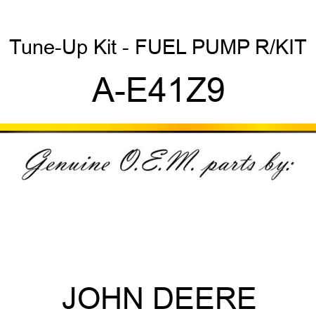 Tune-Up Kit - FUEL PUMP R/KIT A-E41Z9