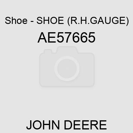 Shoe - SHOE (R.H.GAUGE) AE57665