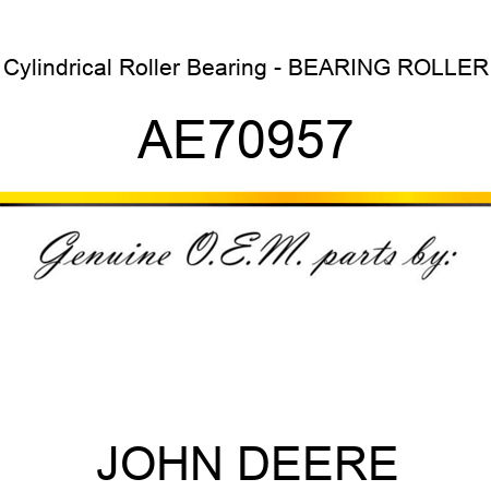 Cylindrical Roller Bearing - BEARING, ROLLER AE70957