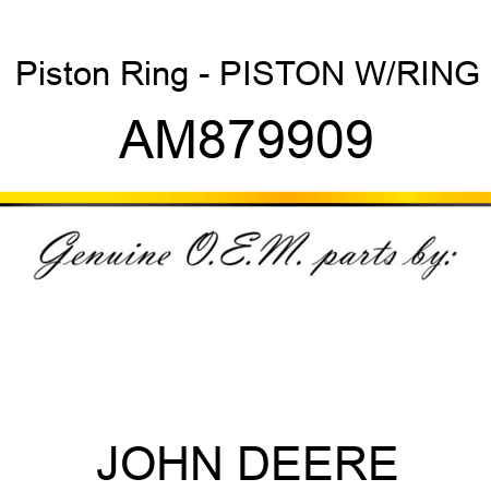 Piston Ring - PISTON W/RING AM879909