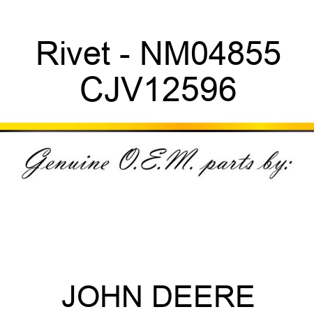 Rivet - NM04855 CJV12596