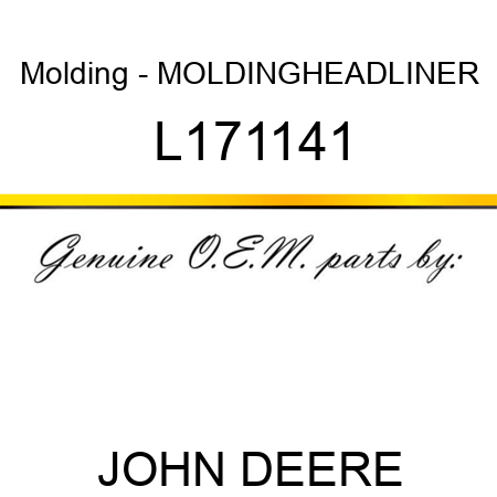 Molding - MOLDING,HEADLINER L171141