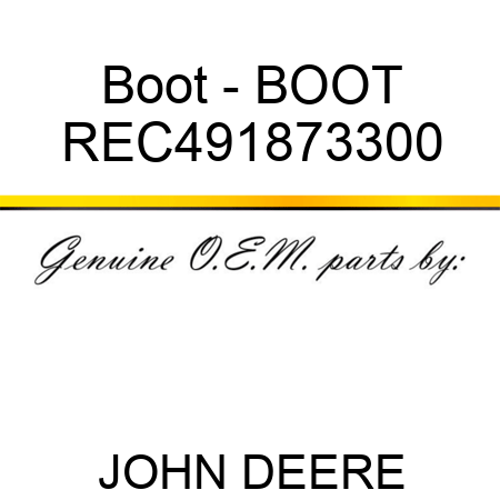 Boot - BOOT REC491873300
