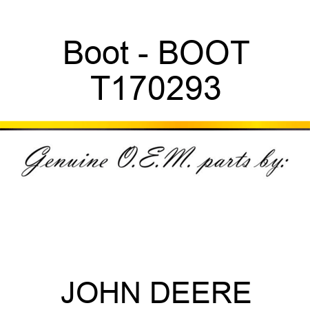 Boot - BOOT T170293