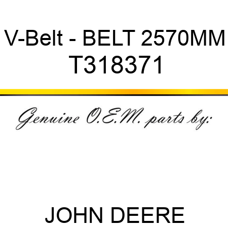 V-Belt - BELT 2570MM T318371