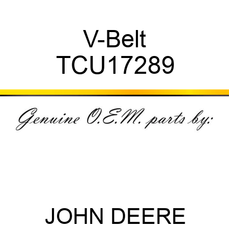 V-Belt TCU17289