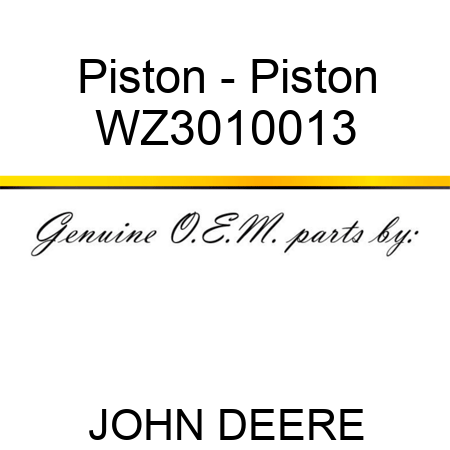 Piston - Piston WZ3010013