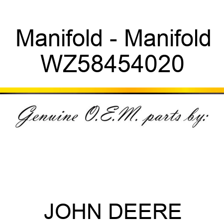 Manifold - Manifold WZ58454020