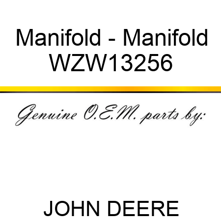 Manifold - Manifold WZW13256