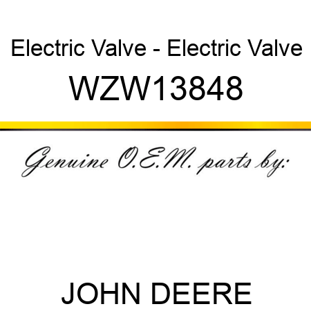 Electric Valve - Electric Valve WZW13848