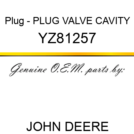 Plug - PLUG, VALVE CAVITY YZ81257