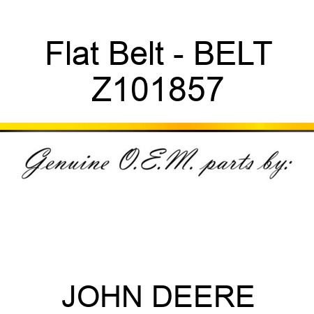 Flat Belt - BELT Z101857
