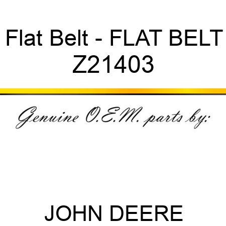 Flat Belt - FLAT BELT Z21403
