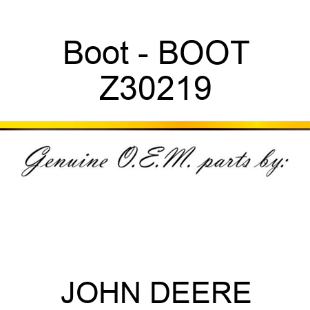 Boot - BOOT Z30219