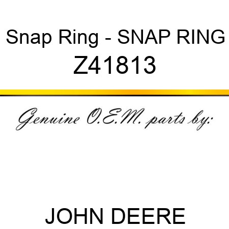 Snap Ring - SNAP RING Z41813
