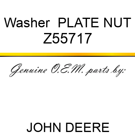 Washer  PLATE, NUT Z55717